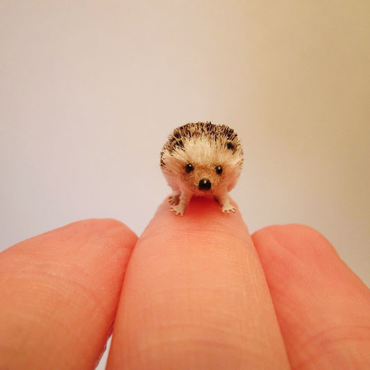 miniature animals by Fanni Sandor