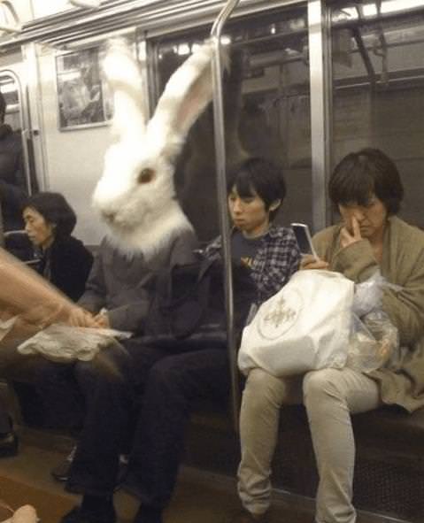 Weird Subway Passengers bunny