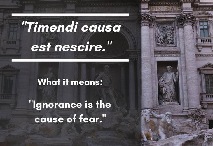 Latin Phrases, ignorance is the cause of fear