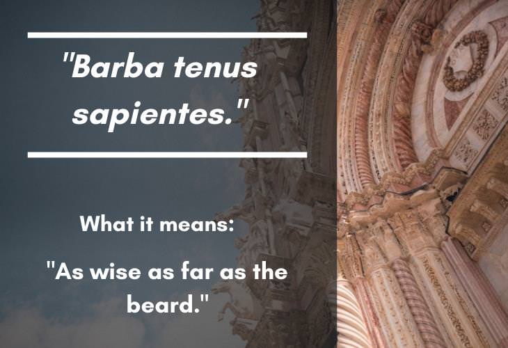 15 Profound Latin Phrases with Deep Meanings