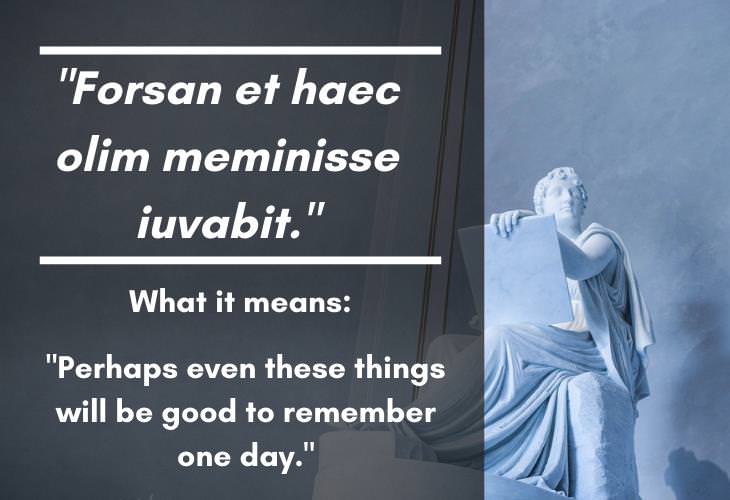 15 Profound Latin Phrases with Deep Meanings