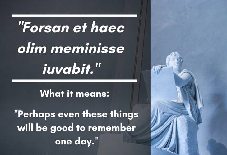 thesis meaning in latin