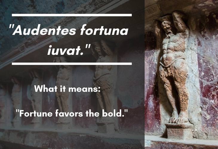 Latin Phrases, "Fortune favors the bold