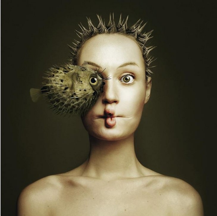 Digital Artist Combines Faces of People & Animals blowfish