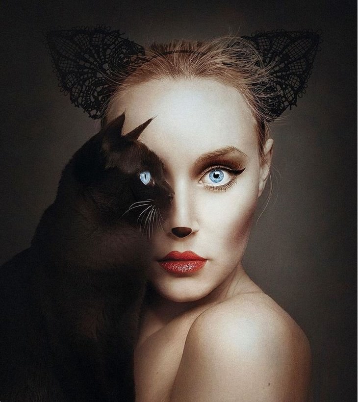 Digital Artist Combines Faces of People & Animals cat