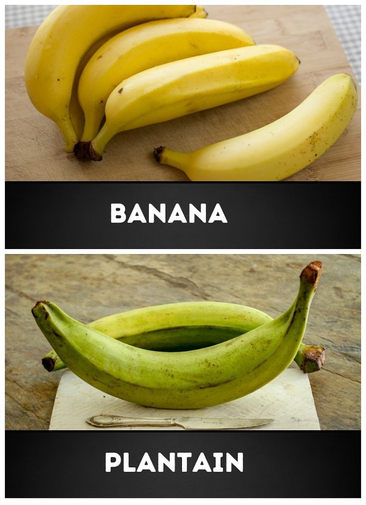 Food Pairs That Commonly Confuse Us, Plantain vs. banana