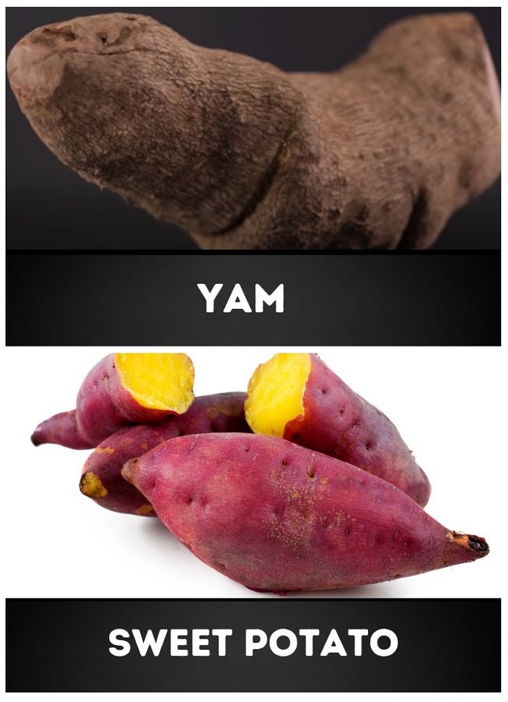 Food Pairs That Commonly Confuse Us, Yam vs. sweet potato