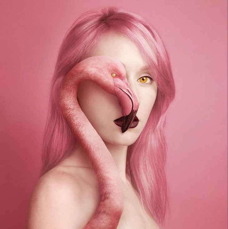 Digital Artist Combines Faces of People & Animals flamingo