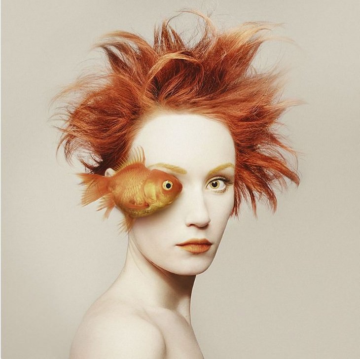 Digital Artist Combines Faces of People & Animals goldfish