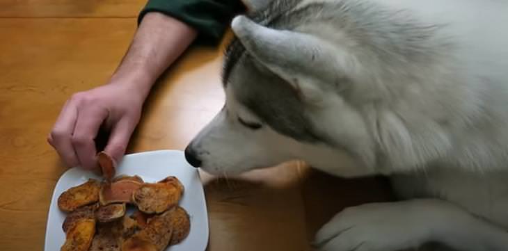 5 Easy-to-Make Dog Treats, Sweet Potato Dog Chews