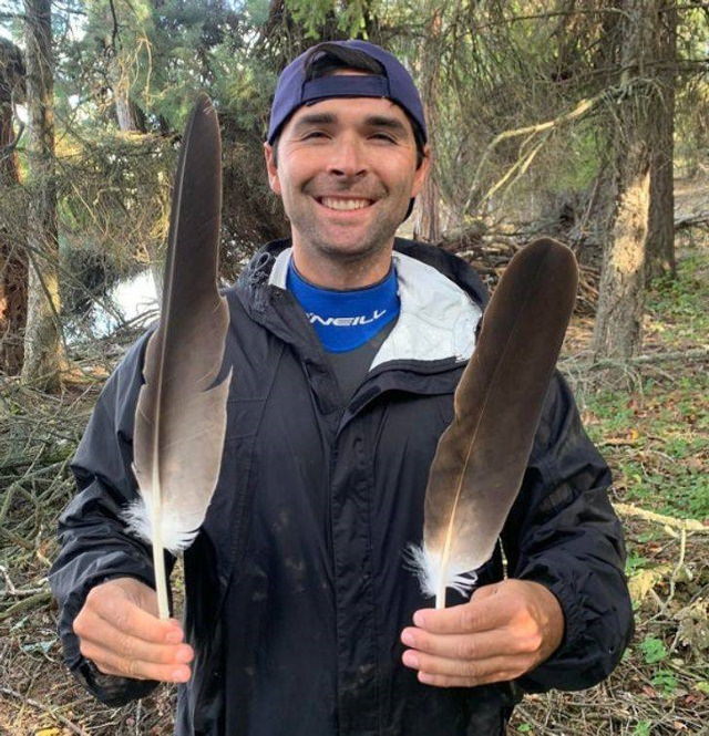 Comparison Photos a bald eagle’s tail feather and primary wing feather