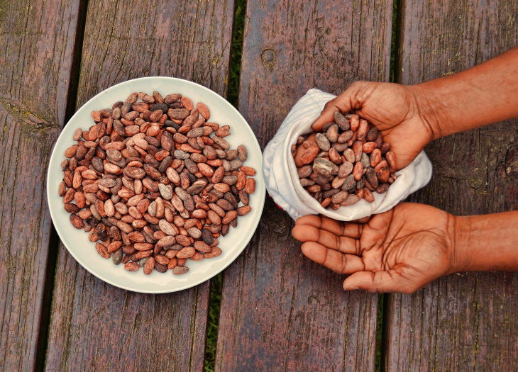 Unusual Ancient Currencies Cacao Beans