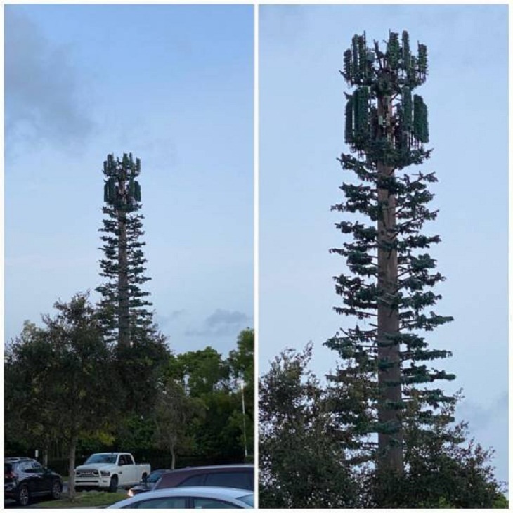 Eco-Friendly Upcycling, cell towers