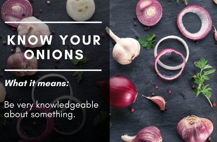 British Slang Phrases Know your onions