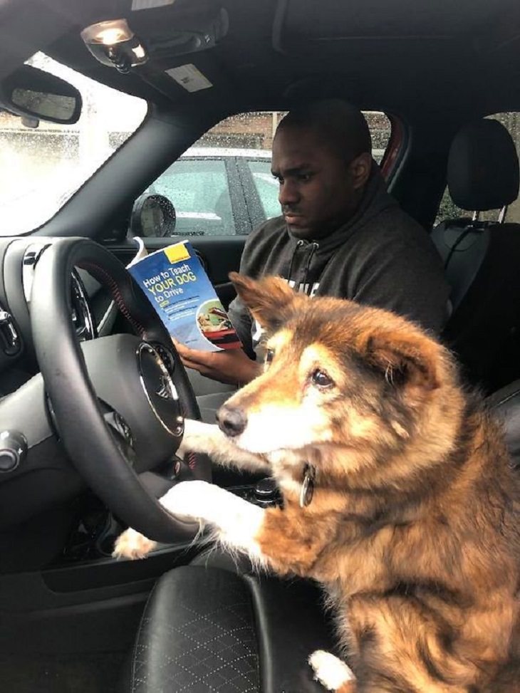 Old Dogs, driving lessons