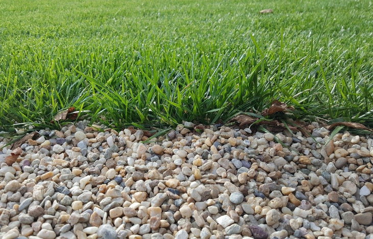 Tips for Preventing Ticks in the Yard gravel near the lawn