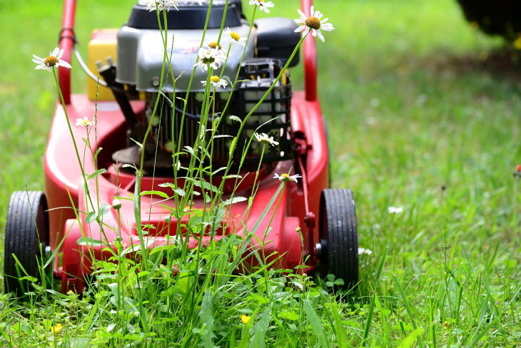 Tips for Preventing Ticks in the Yard Mowing the lawn