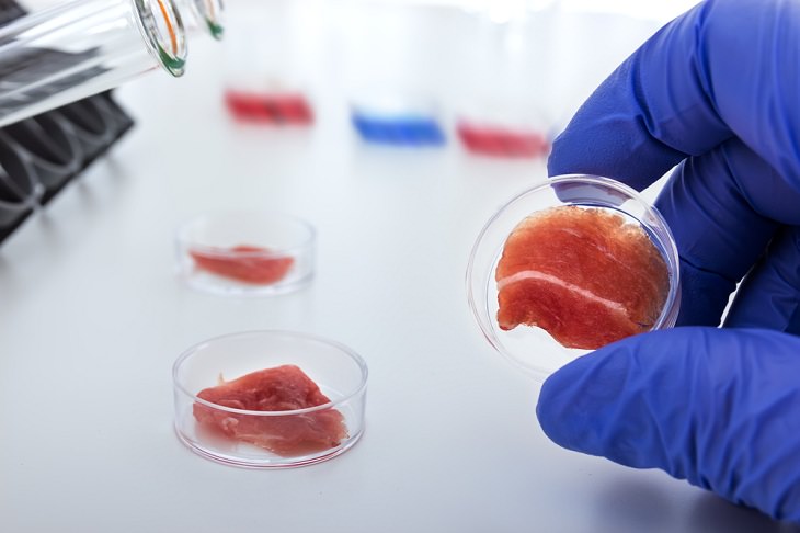 Future Technologies,Lab-created meat