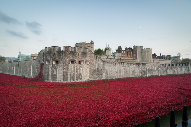 Facts About the Tower of London The Tower of London art installation 'Blood Swept Lands and Seas of Red'.