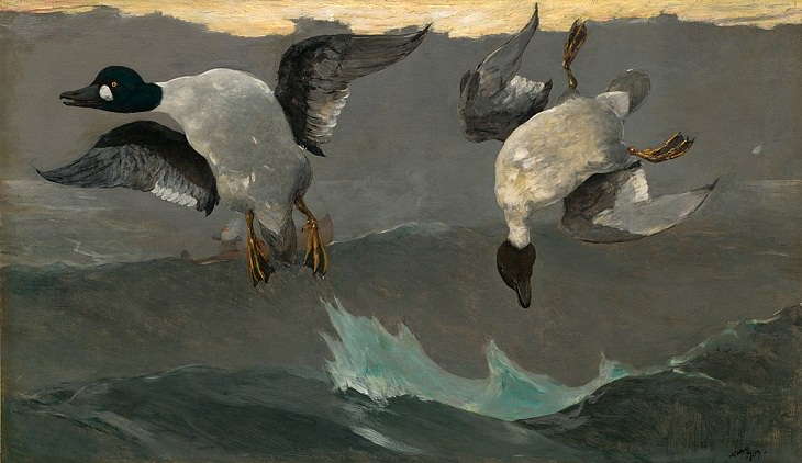  Winslow Homer birds
