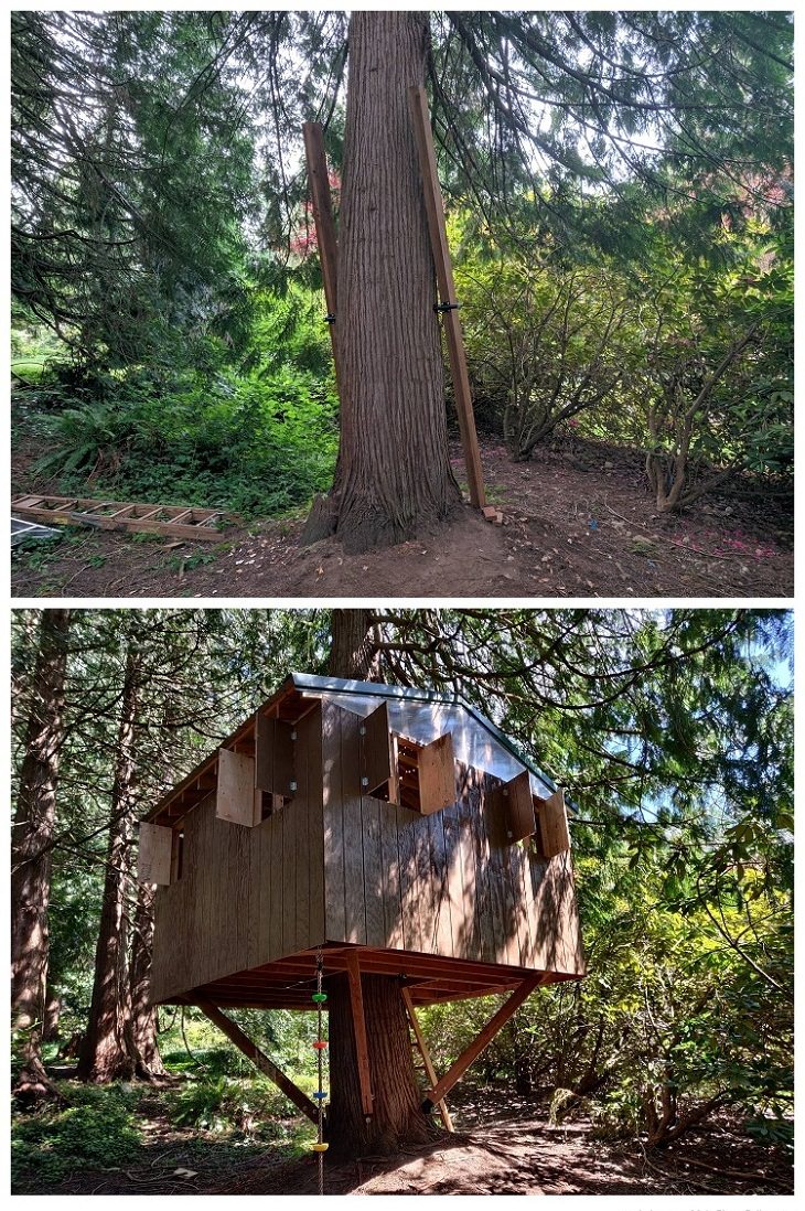 Backyard Renovations treehouse