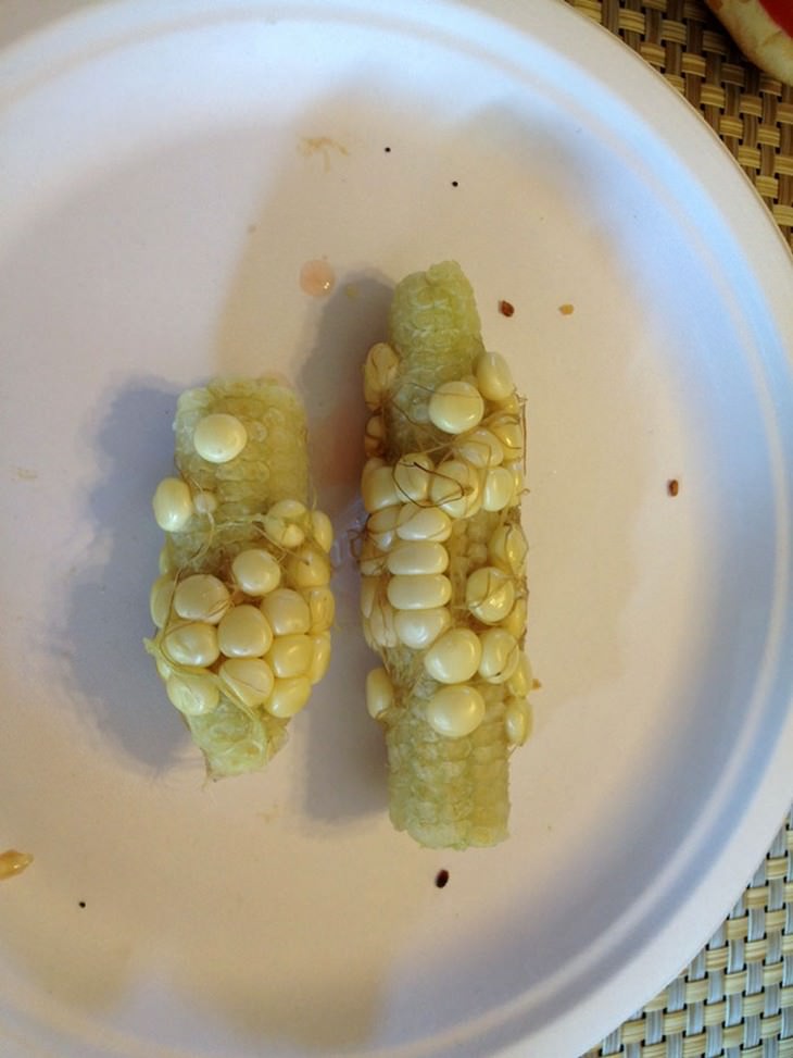 Gardening and harvest fails, corn