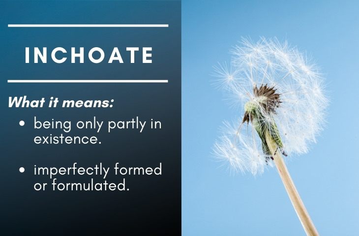 Difficult to Remember English Words Inchoate