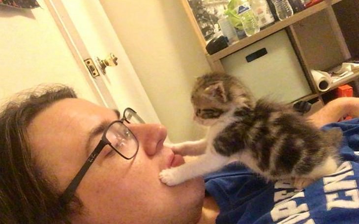 The Tiniest and Sweetest Cats In Existence owner's face