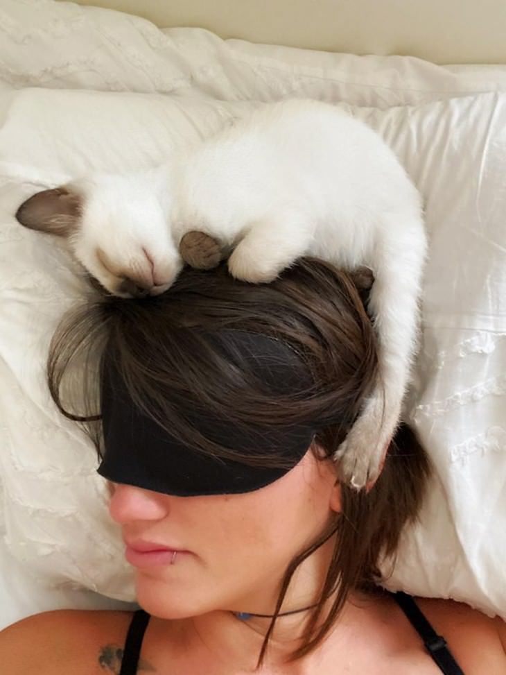 The Tiniest and Sweetest Cats In Existence sleeping on owners head