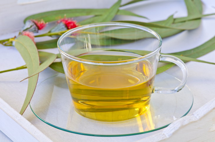 Teas for Asthma Relief  Eucalyptus Tea (Eucalyptus globulus)
