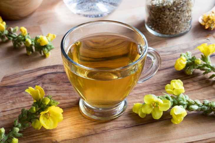 Teas for Asthma Relief  Mullein Tea (Verbasscum thapus)