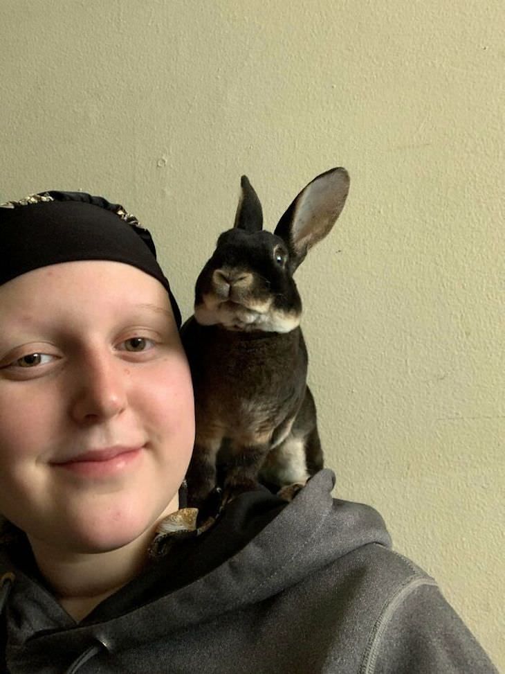 Pets sitting on the owners' shoulders, bunny