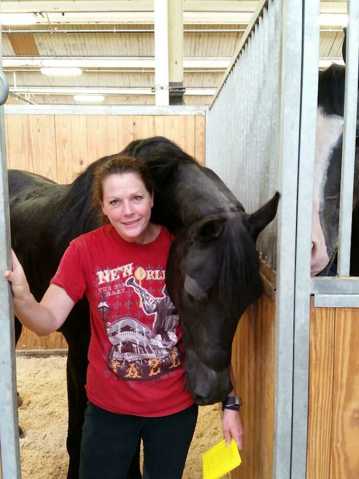 Pets sitting on the owners' shoulders, horse