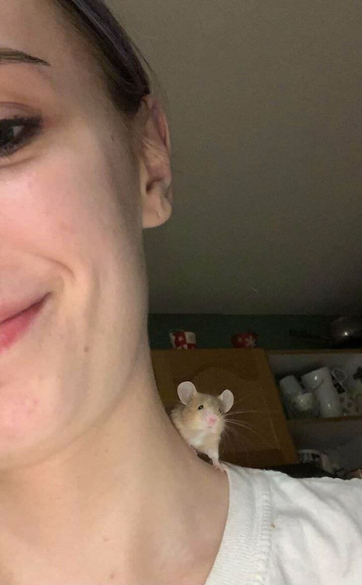 Pets sitting on the owners' shoulders, mouse