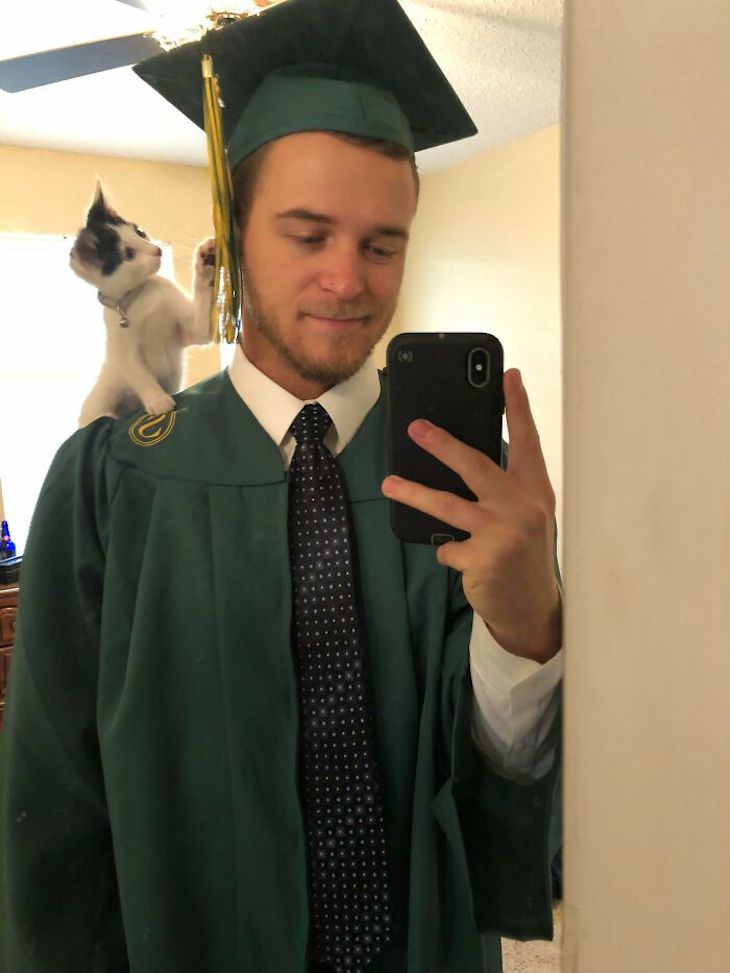 Pets sitting on the owners' shoulders, kitten