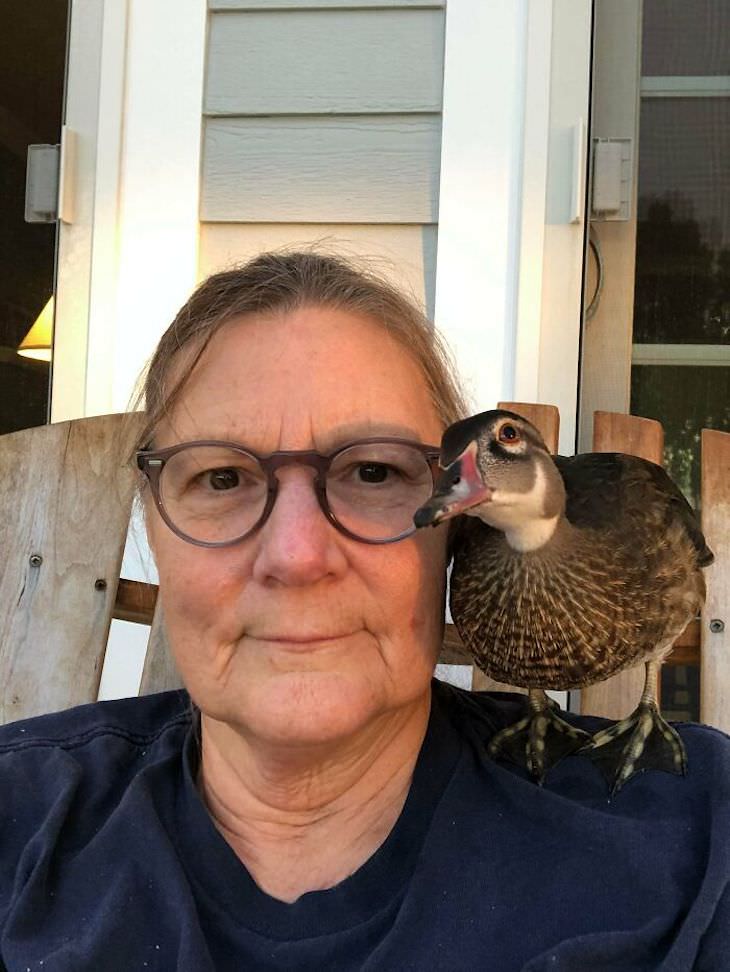 Pets sitting on the owners' shoulders, duck