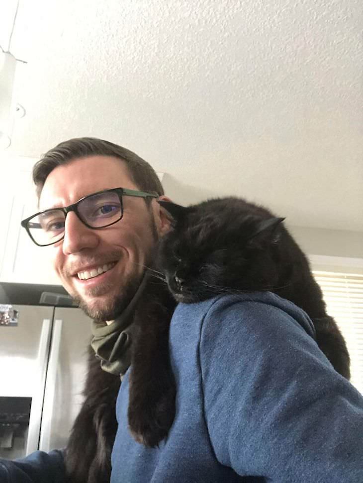 Pets sitting on the owners' shoulders, cat