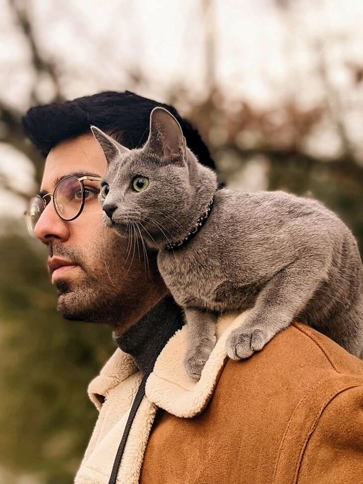 Pets sitting on the owners' shoulders, cat