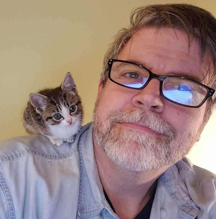 Pets sitting on the owners' shoulders, kitten