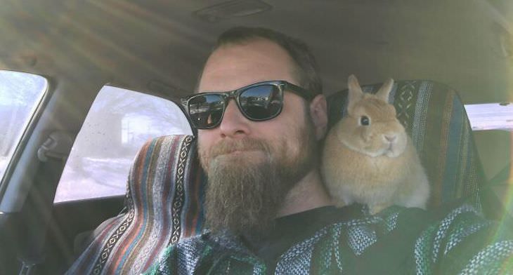 Pets sitting on the owners' shoulders, bunny