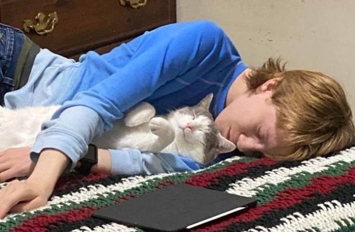 Kids and Pets, napping partners