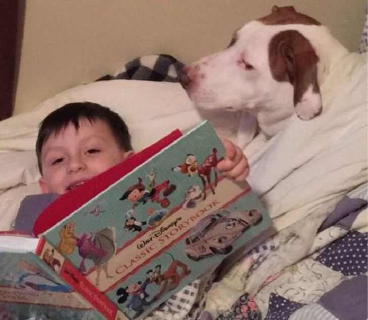 Kids and Pets, bed time stories 