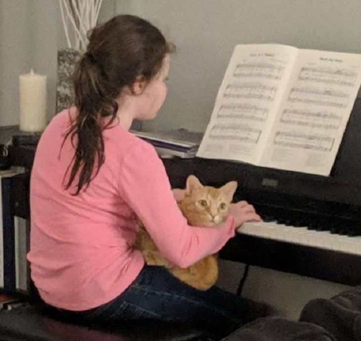 Kids and Pets, Piano lessons