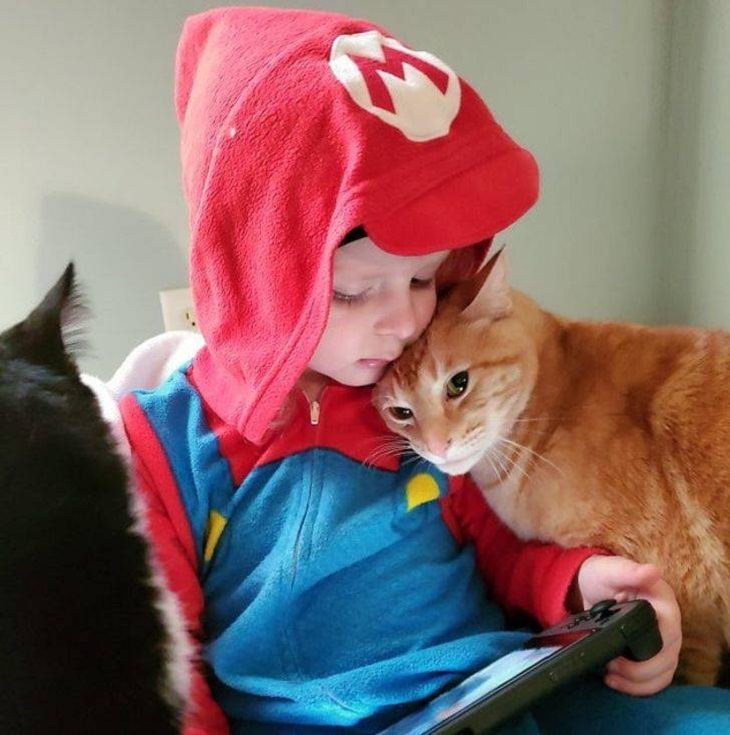 Kids and Pets, cats