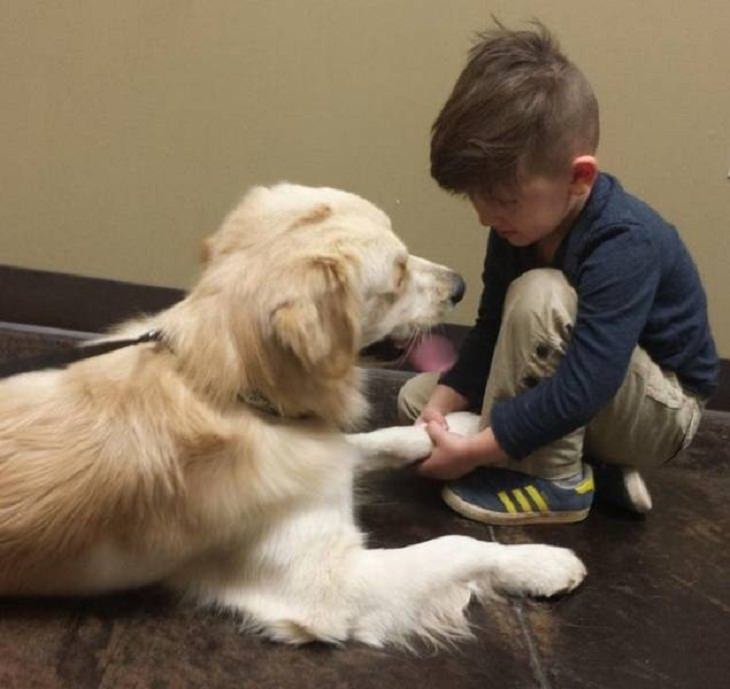 Kids and Pets, vet