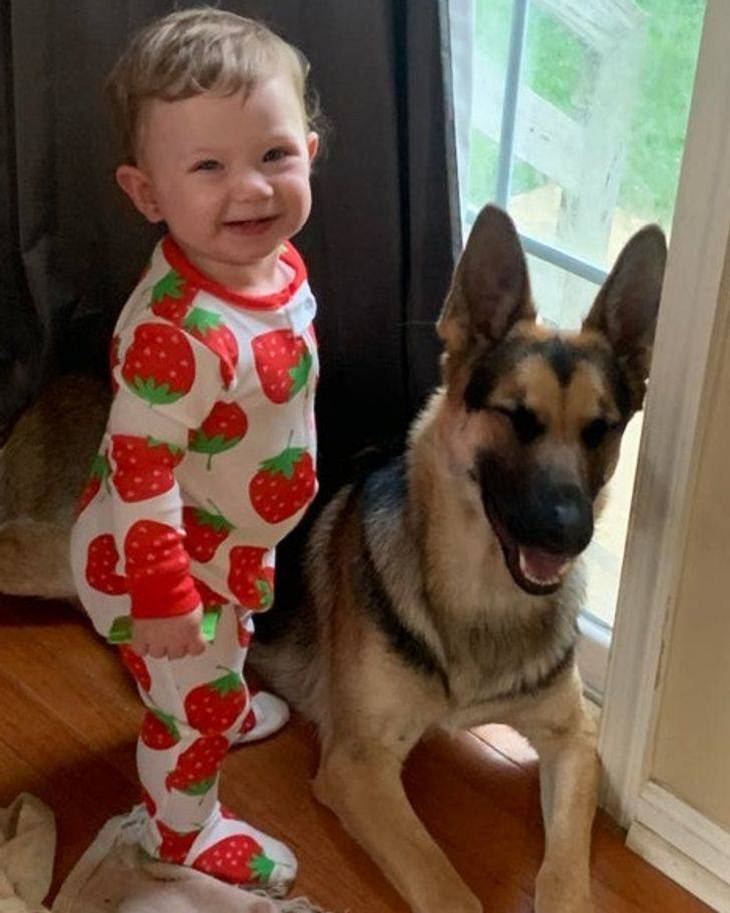 Kids and Pets, dog and baby