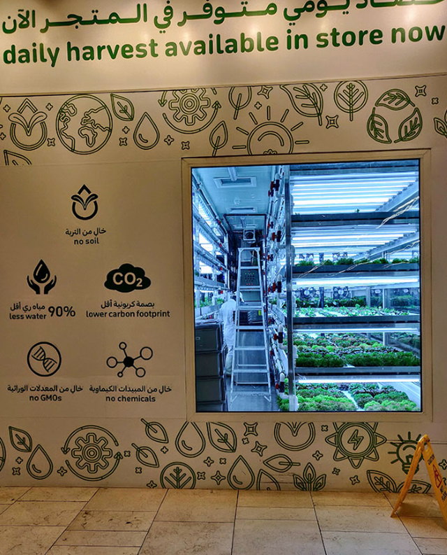Creative Solutions supermarket grows some of its vegetables