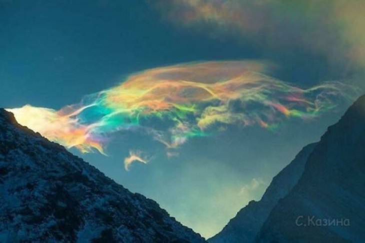 Striking Uniquely Colored Animals Iridescent clouds