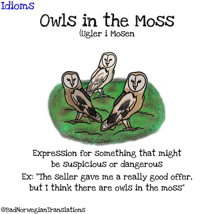 Norwegian Idioms, owl