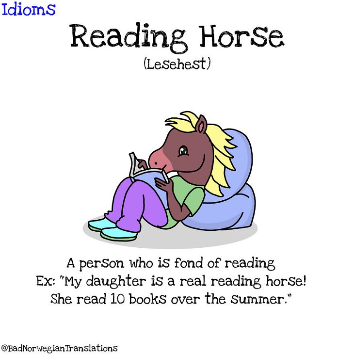 Norwegian Idioms, reading horse